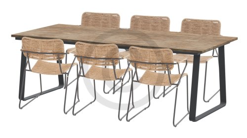 taste 4seasons swing natural 