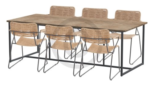 taste 4seasons swing natural 