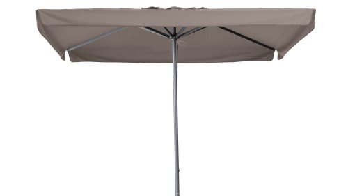 madison profi line taupe volant